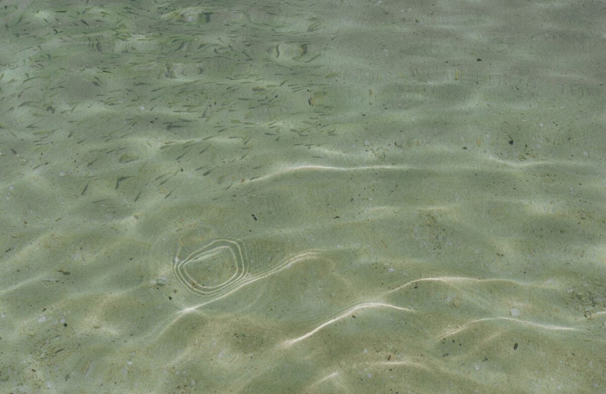 Sandy beach coast aerial - LORDS OF THE LANDS Aerial view of a sandy beach coast — Lords of the Lands