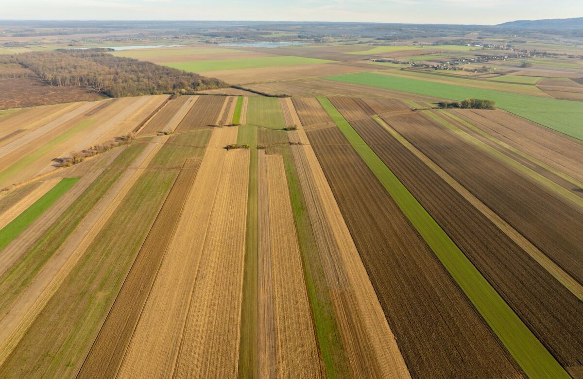 Ploughed farmland - LORDS OF THE LANDS Ploughed farmland ready for development — Lords of the Lands