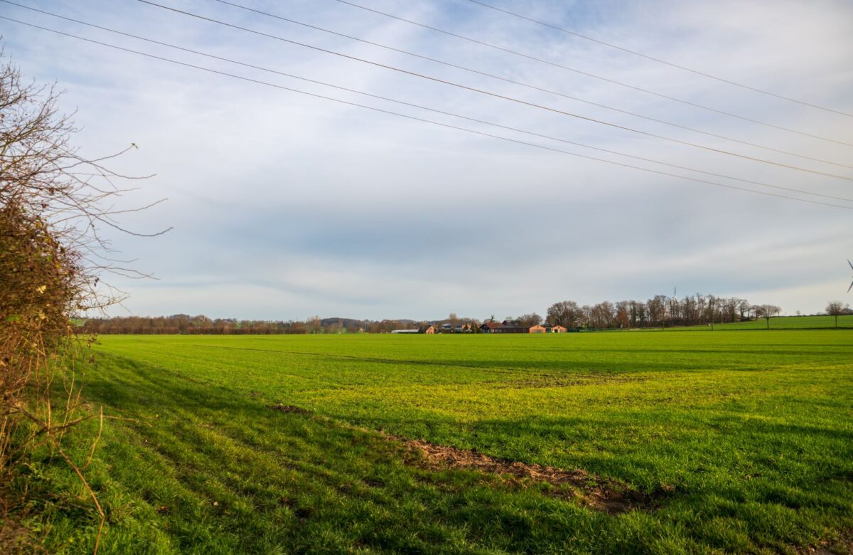 Green cultivated land - LORDS OF THE LANDS Rows of green cultivated open land — Lords of the Lands