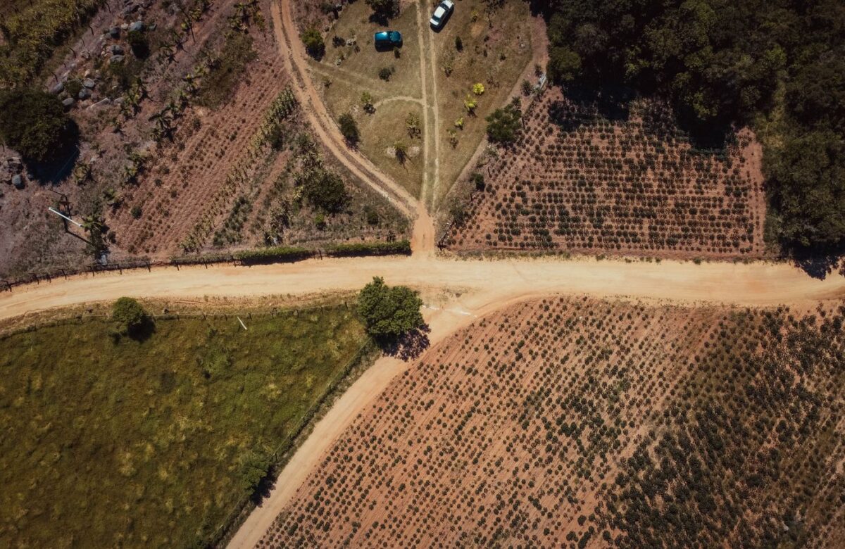 Land plot with access path - LORDS OF THE LANDS Cleared land plot with an access path — Lords of the Lands