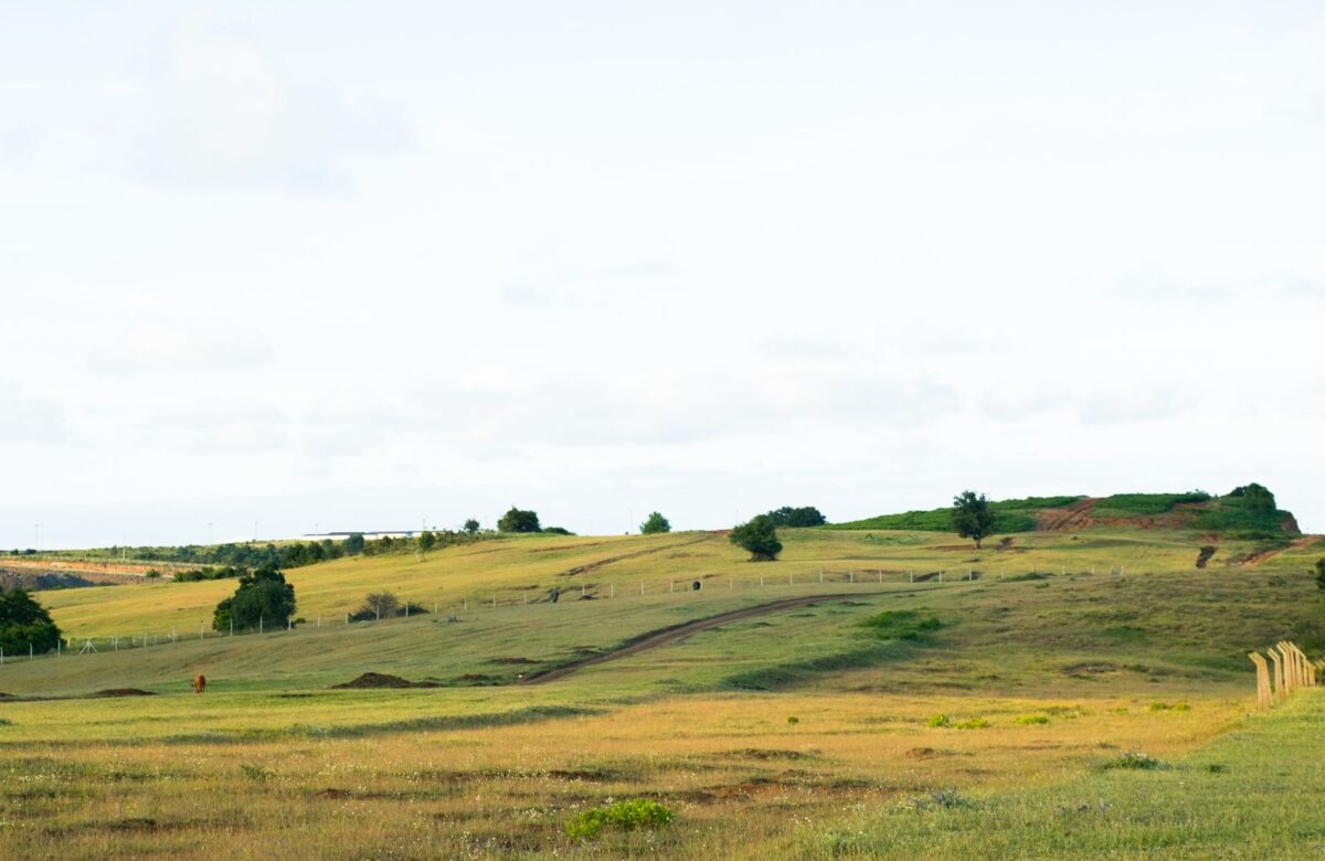 Mangaon Land in 2026: Price, Access & What to Check