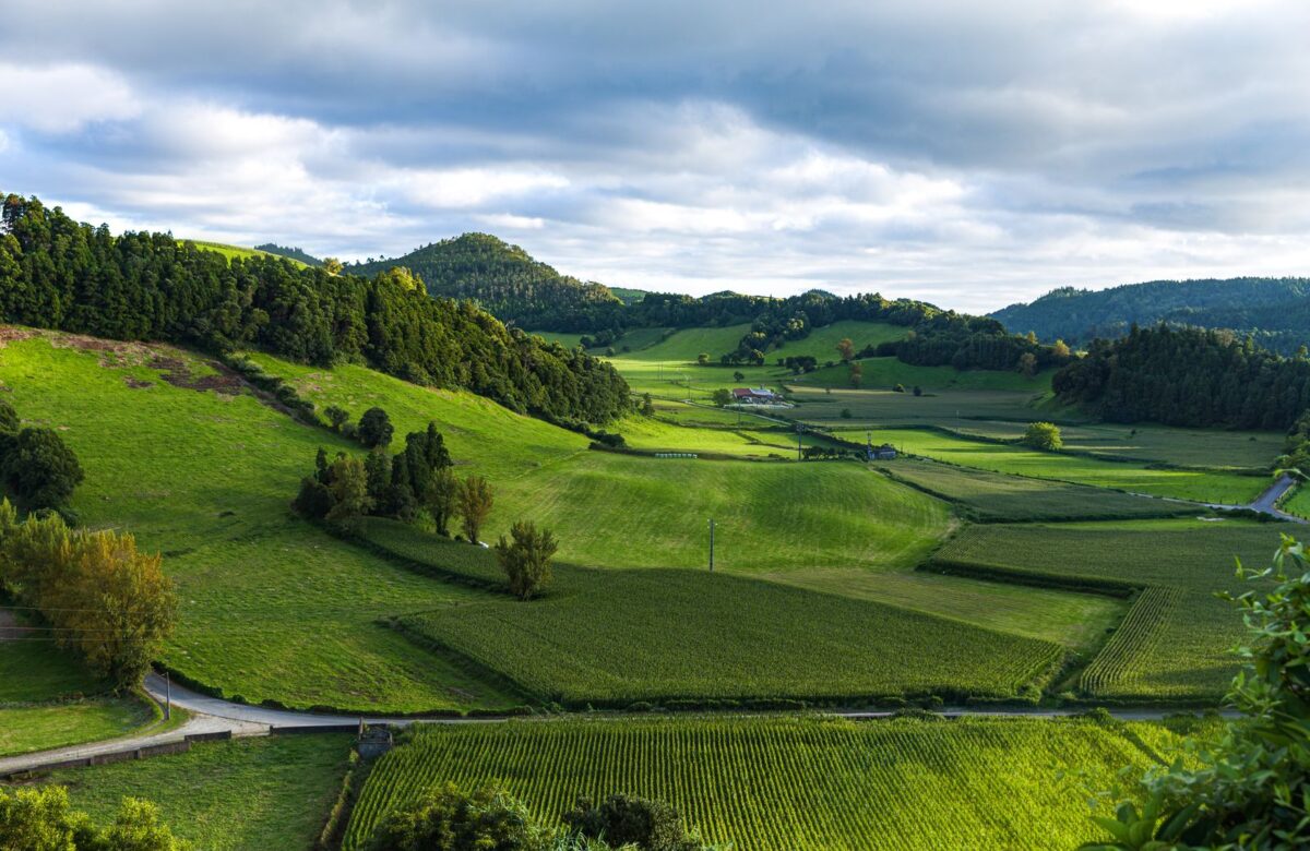 Rolling green hills and open land — Lords of the Lands