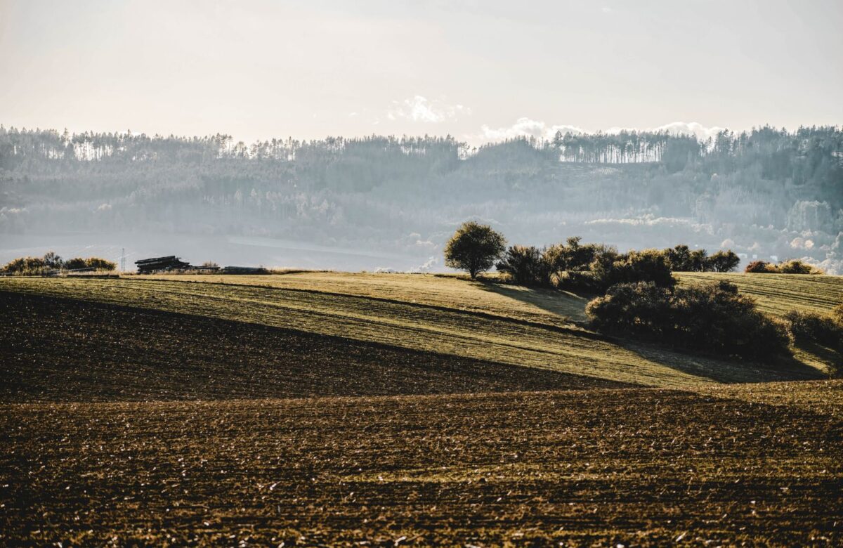 Rolling hills by the coast - LORDS OF THE LANDS Rolling hills meeting the coast — Lords of the Lands
