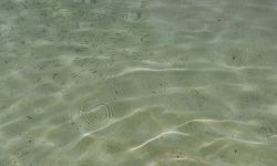 Aerial view of a sandy beach coast — Lords of the Lands
