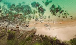Aerial view of a wooded coastline — Lords of the Lands