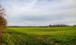 Rows of green cultivated open land — Lords of the Lands