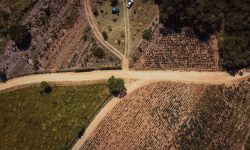 Cleared land plot with an access path — Lords of the Lands
