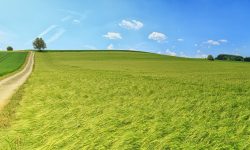 Open green field under a clear blue sky — Lords of the Lands
