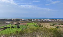 Open green farmland sloping toward a coastal town and the sea on the horizon — Lords of the Lands