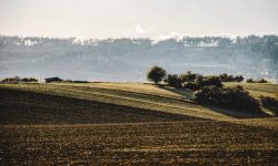 Rolling hills meeting the coast — Lords of the Lands